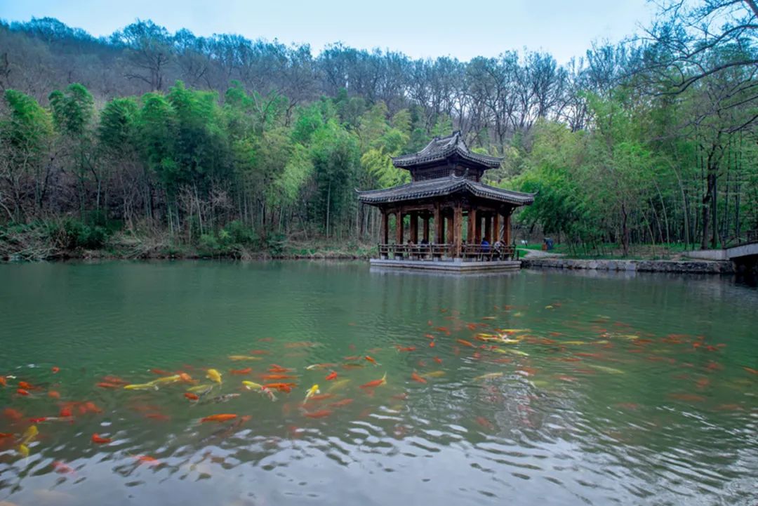 {ONEBETS}(滁州周边好玩的旅游景点推荐)